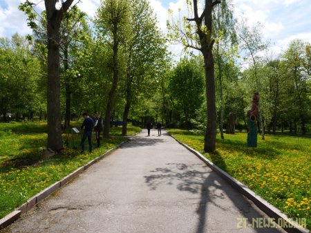 Студенти ЖДУ в міському парку встановили поблизу дерев інформаційні таблички з QR-кодами