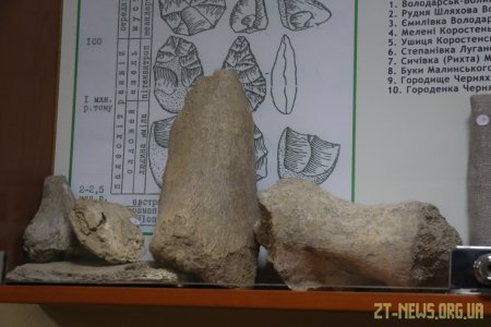 Викладачка ЖДУ ім. Івана Франка отримала іменний годинник міського голови