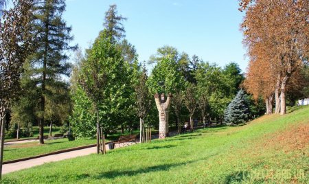 У Житомирі з’явиться реєстр зелених зон та насаджень