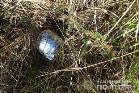 Коростенські поліцейські розшукали підозрюваного у поширенні метадону