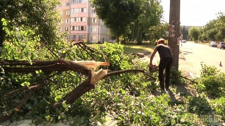 У Житомирі комунальники ліквідовують наслідки негоди