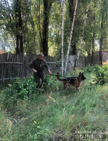 На Житомирщині 14-річного підлітка вбили канцелярським ножем