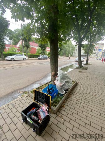 Працівники Зеленбуду у Житомирі лікують каштани від мінуючої молі