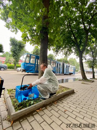 Працівники Зеленбуду у Житомирі лікують каштани від мінуючої молі