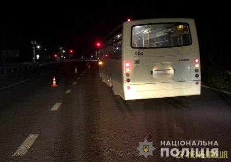 Поблизу Житомира маршрутка збила насмерть чоловіка