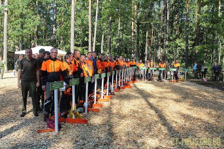 На Житомирщині визначили кращого лісоруба