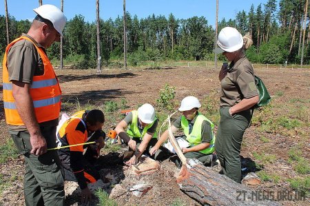 На Житомирщині визначили кращого лісоруба