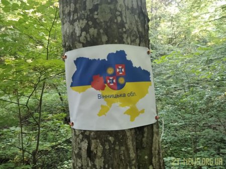 У Житомирі відбувся забіг до дня Незалежності