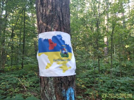 У Житомирі відбувся забіг до дня Незалежності