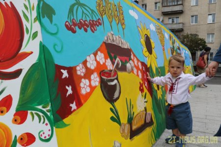 Більше 400 дітей у Житомирі створили найбільшу картину про Україну