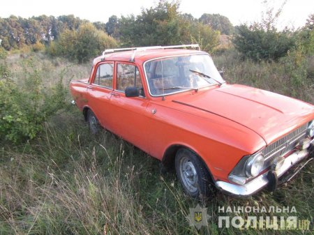 На Житомирщині поліцейські розшукали чоловіка, який викрав два автомобілі