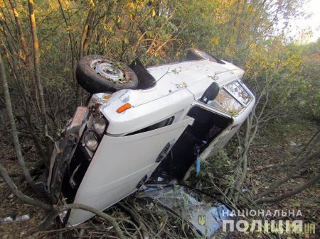 Викрадений в Овручі автомобіль знайшли у кюветі неподалік