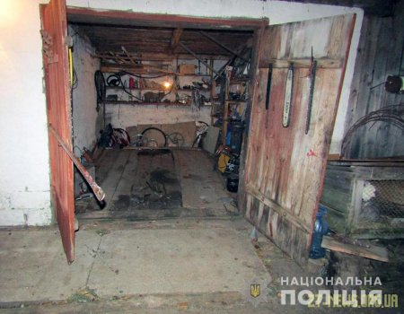 Викрадений в Овручі автомобіль знайшли у кюветі неподалік
