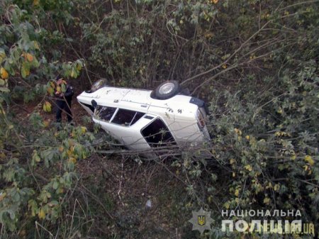 Викрадений в Овручі автомобіль знайшли у кюветі неподалік