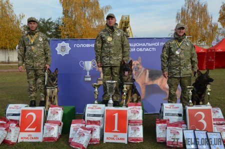 У Житомирі оголосили переможців всеукраїнського чемпіонату з багатоборства кінологів
