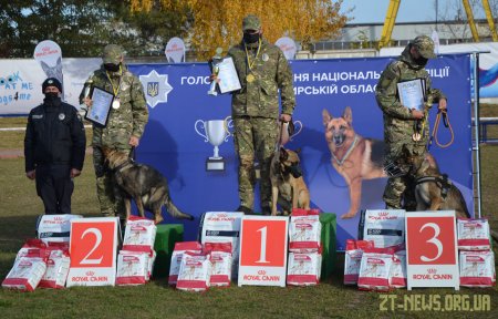 У Житомирі оголосили переможців всеукраїнського чемпіонату з багатоборства кінологів