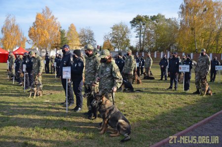 У Житомирі оголосили переможців всеукраїнського чемпіонату з багатоборства кінологів