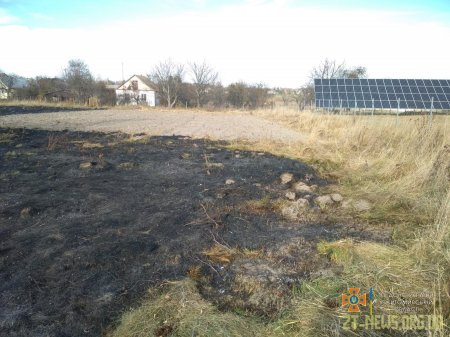 На Житомирщині чоловік, який палив суху траву, не зміг приборкати вогонь і згорів живцем